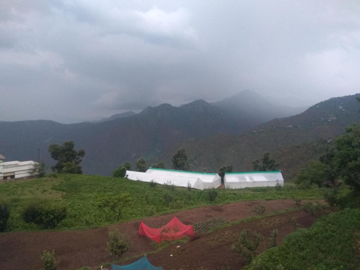 Green View Resort New Tehri Zewnętrze zdjęcie