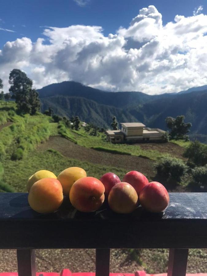 Green View Resort New Tehri Zewnętrze zdjęcie
